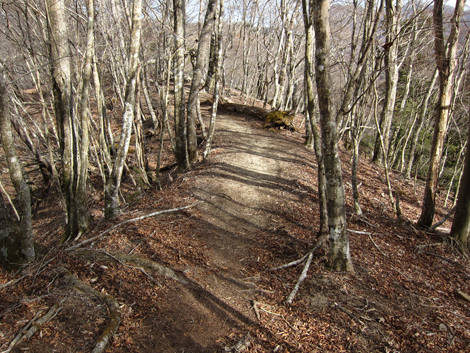 20200110hike (248)